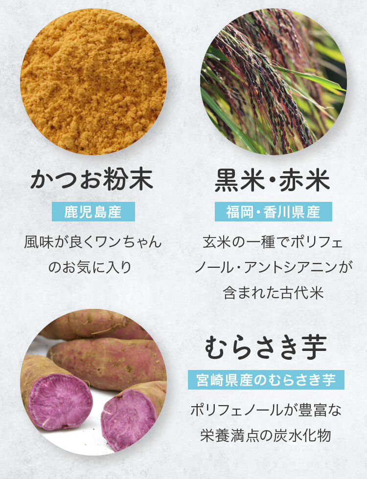 かつお粉末 黒米・赤米 宮崎県産のむらさき芋