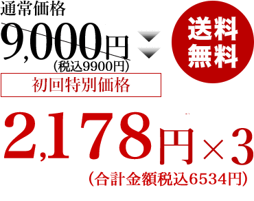 初回特別価格1,980円